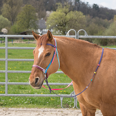 Therapiezügel Elsa-Care