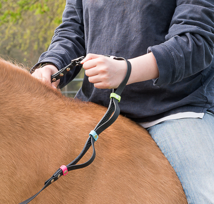 Schlaufenzügel Elsa-Care