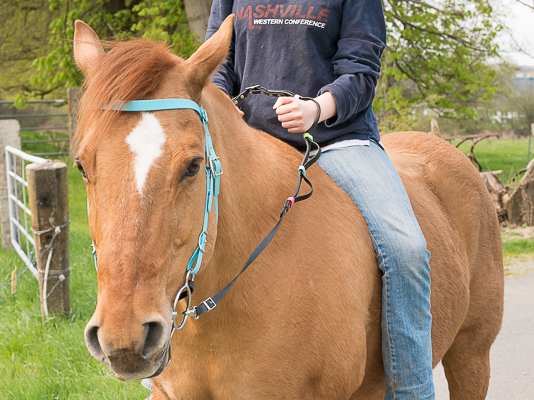 Schlaufenzügel Elsa-Care