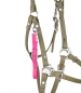 Mobile Preview: Halfter Allroundtalent,19mm, Tan/Pink
