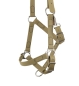 Preview: Halfter, 25mm, Tan
