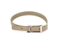 Preview: Halsband Hund Tan
