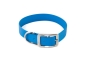 Mobile Preview: Halsband 25mm breit, Blau mit Edelstahl