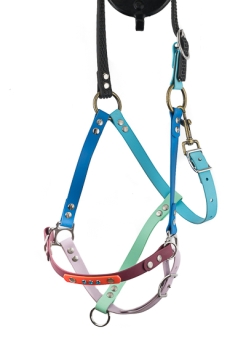 Therapie-Reit-/Halfter