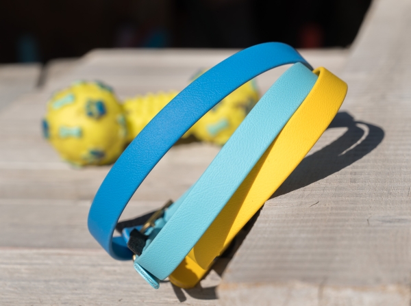 Halsband Hund 16 / 19mm