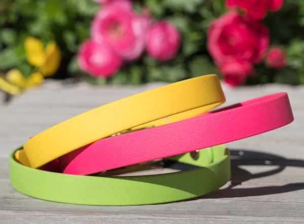 Halsband Hund 16 / 19mm