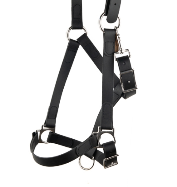 Halfter, 25mm, Schwarz