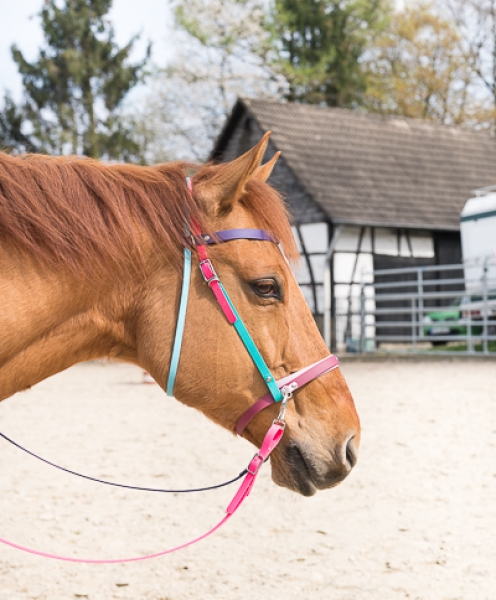 Therapie-Kopfstück im Einsatz